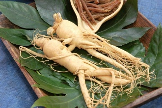 Overview of Panax Ginseng